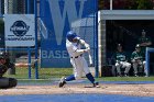 Baseball vs Babson  Wheaton College Baseball vs Babson during Championship game of the NEWMAC Championship hosted by Wheaton. - (Photo by Keith Nordstrom) : Wheaton, baseball, NEWMAC